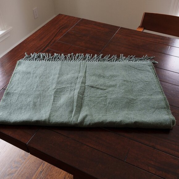 Aritzia Sunday Best Sage Green blanket scarf - Picture 3 of 4